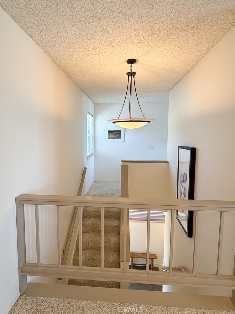 557 Lucerne St. Property Photo 23