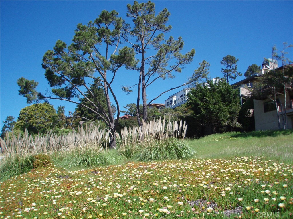 1970 Emmons Road Property Photo 10