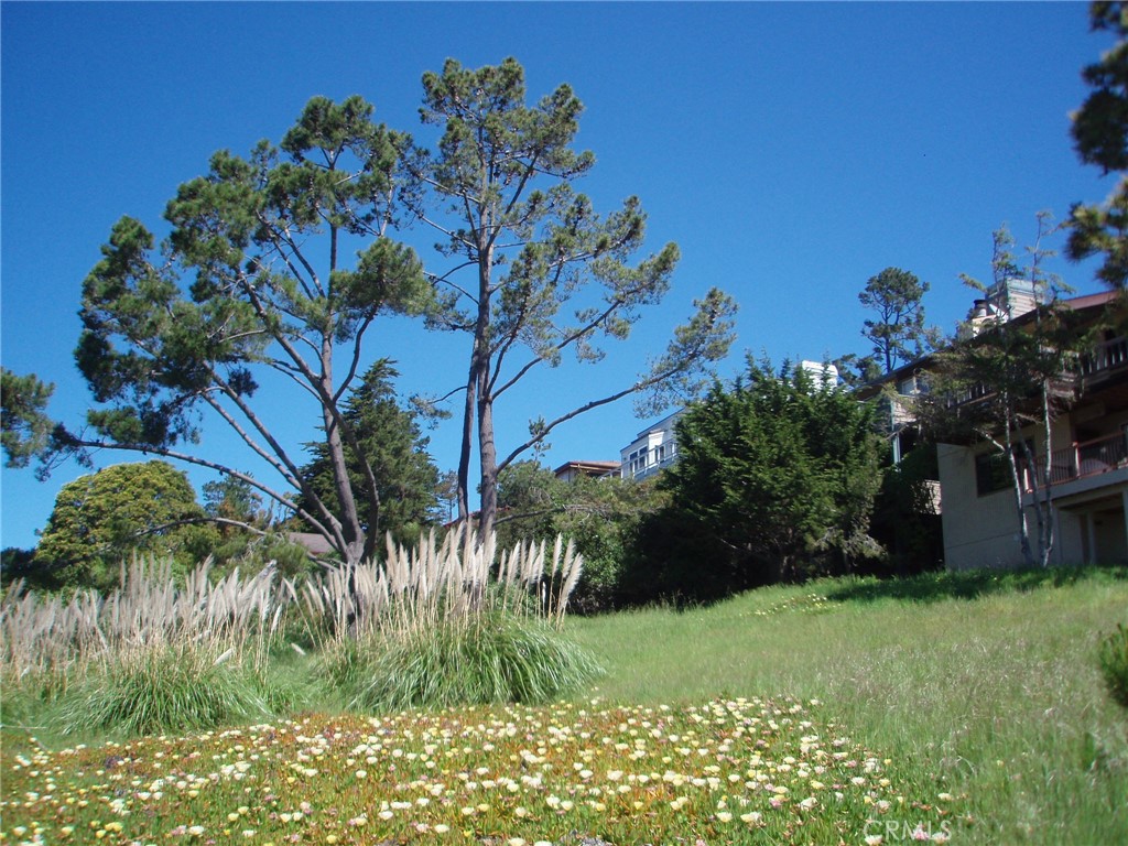1970 Emmons Road Property Photo 11