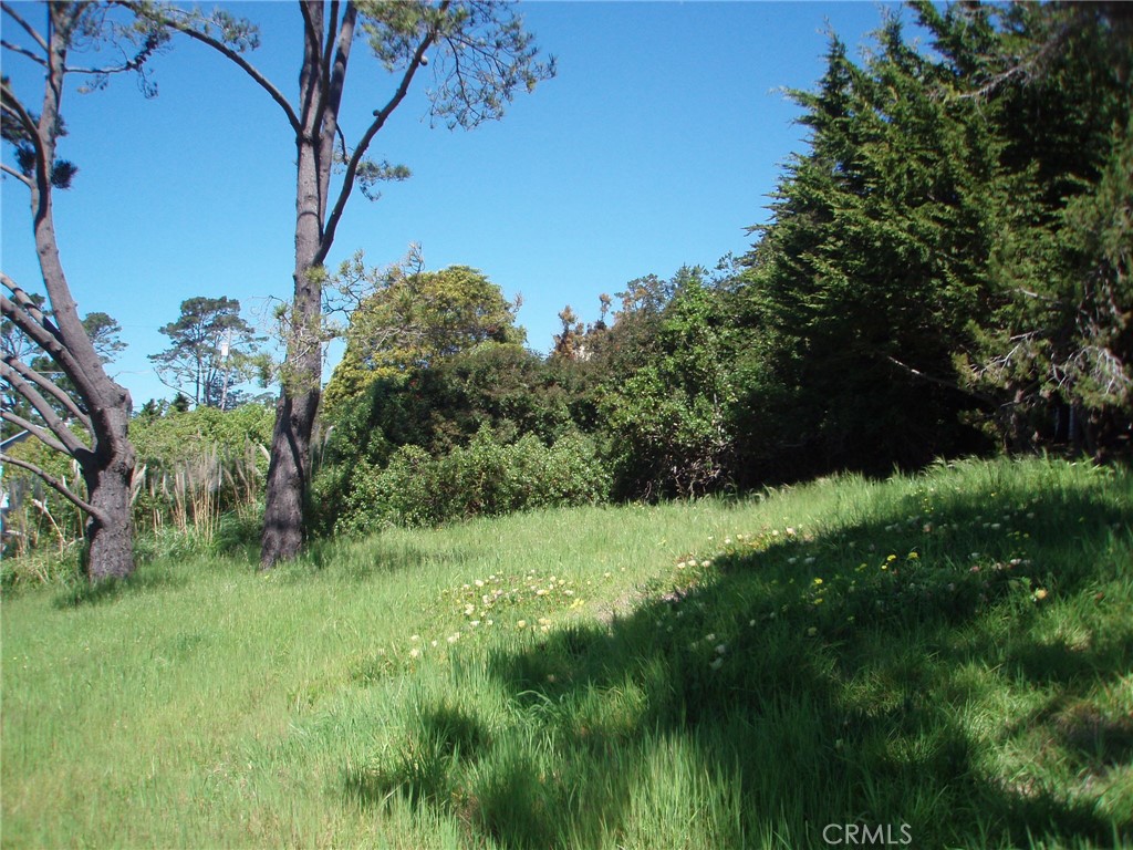 1970 Emmons Road Property Photo 12