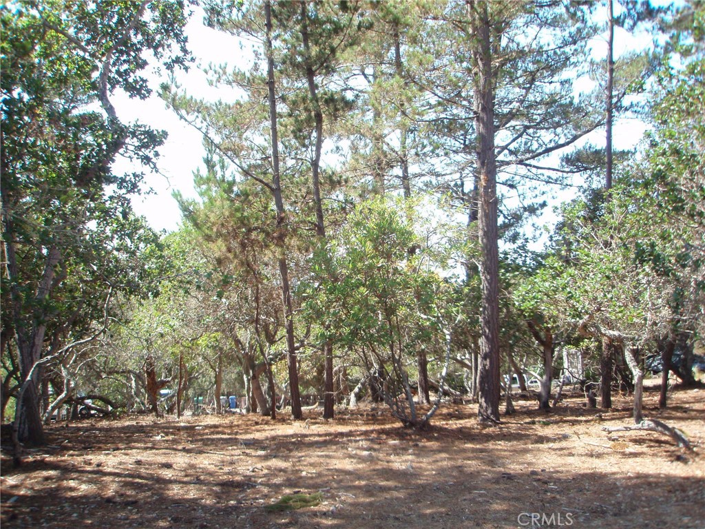 1865 Dreydon Avenue Property Photo 1