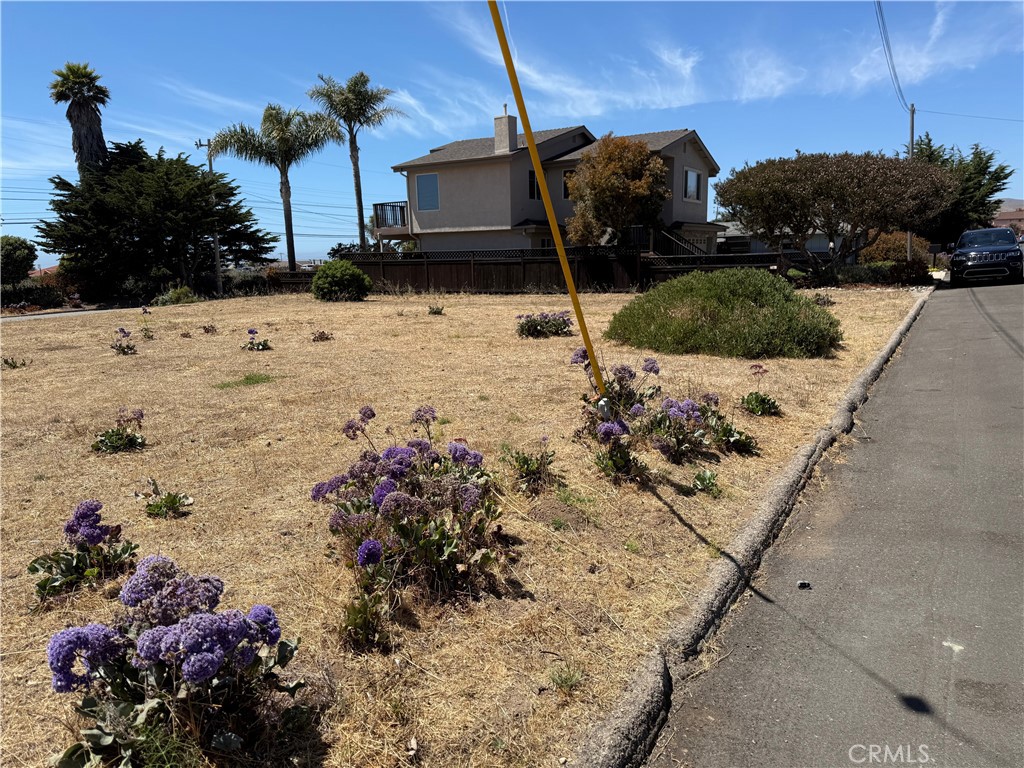 2900 Alder Avenue Property Photo 2