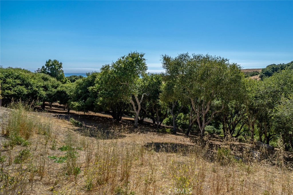 991 Visalia Street Property Photo 15