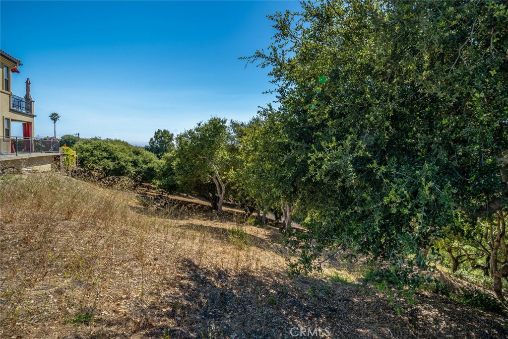 991 Visalia Street Property Photo 16