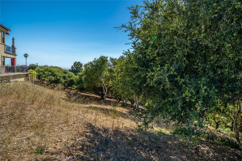 991 Visalia Street Property Photo 16