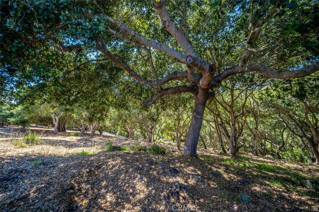 991 Visalia Street Property Photo 17