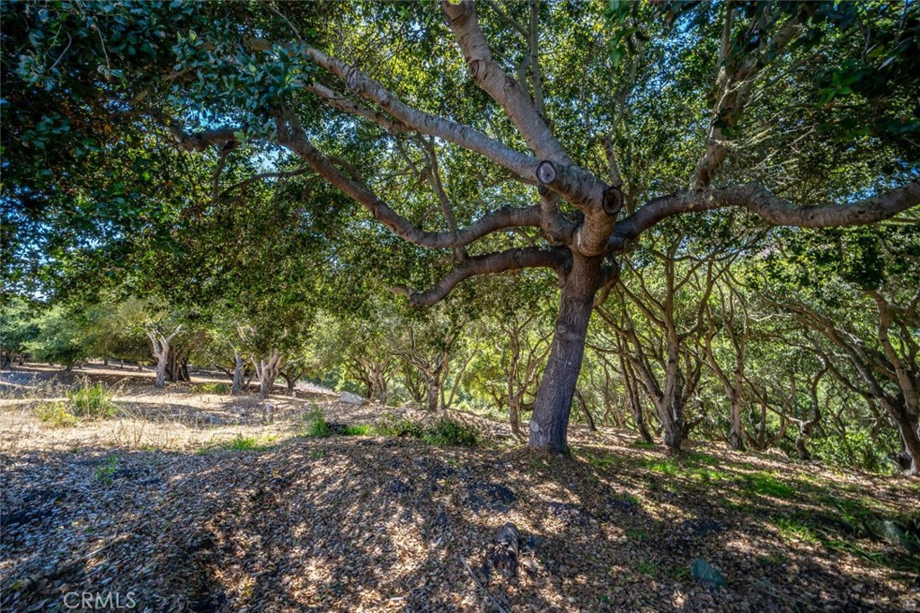 991 Visalia Street Property Photo 17