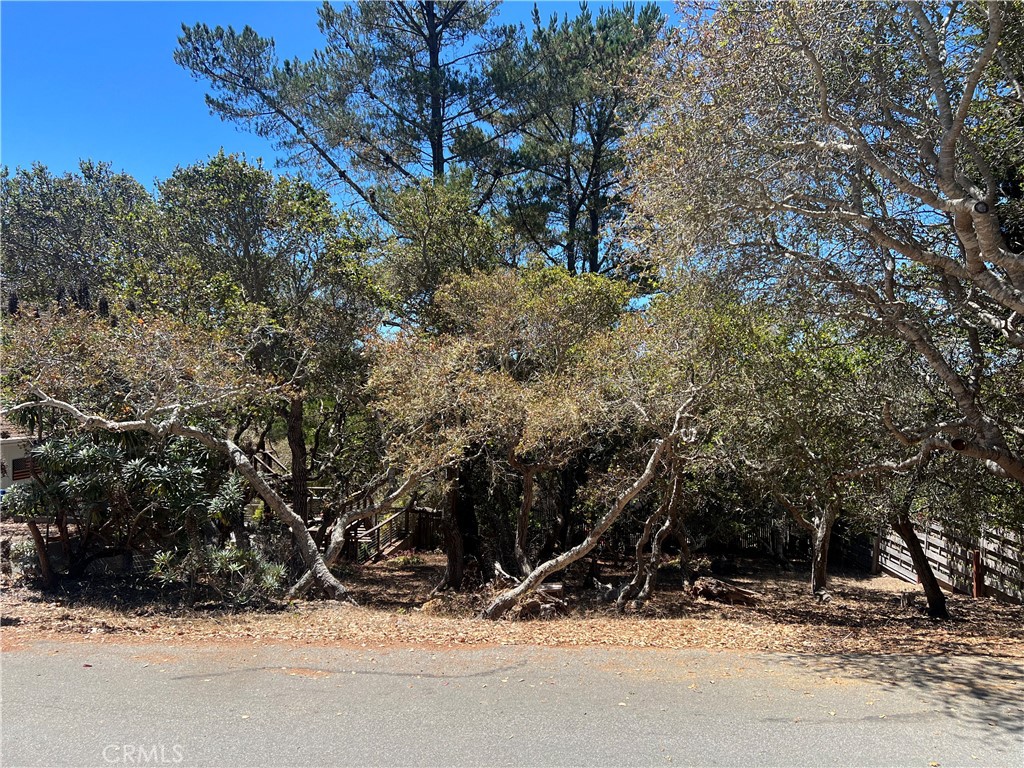 1845 Norwich Avenue Property Photo 2