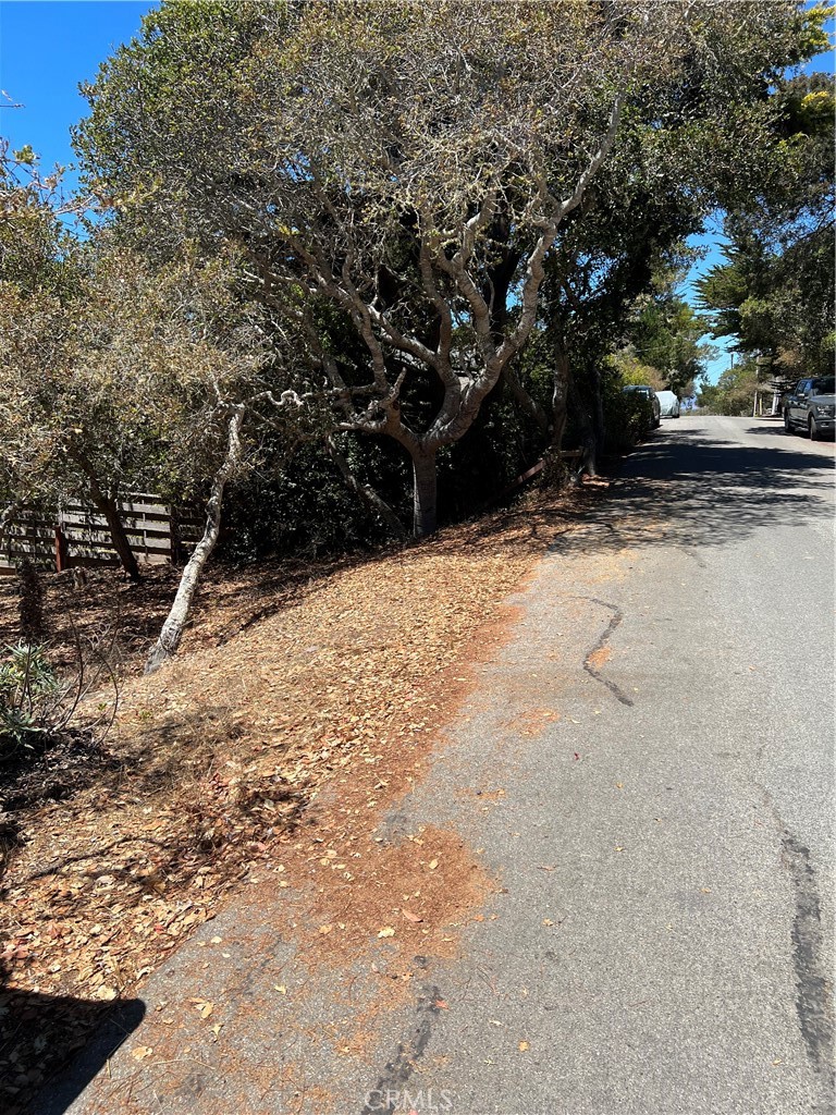 1845 Norwich Avenue Property Photo 4