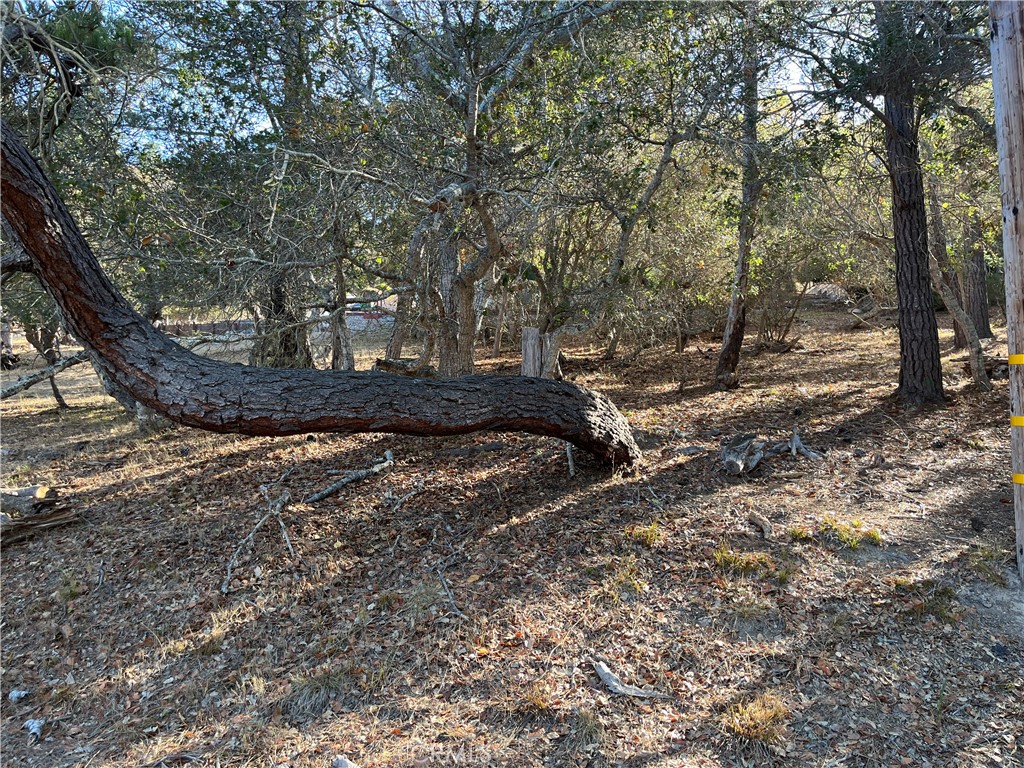 1818 Tweed Avenue Property Photo 1