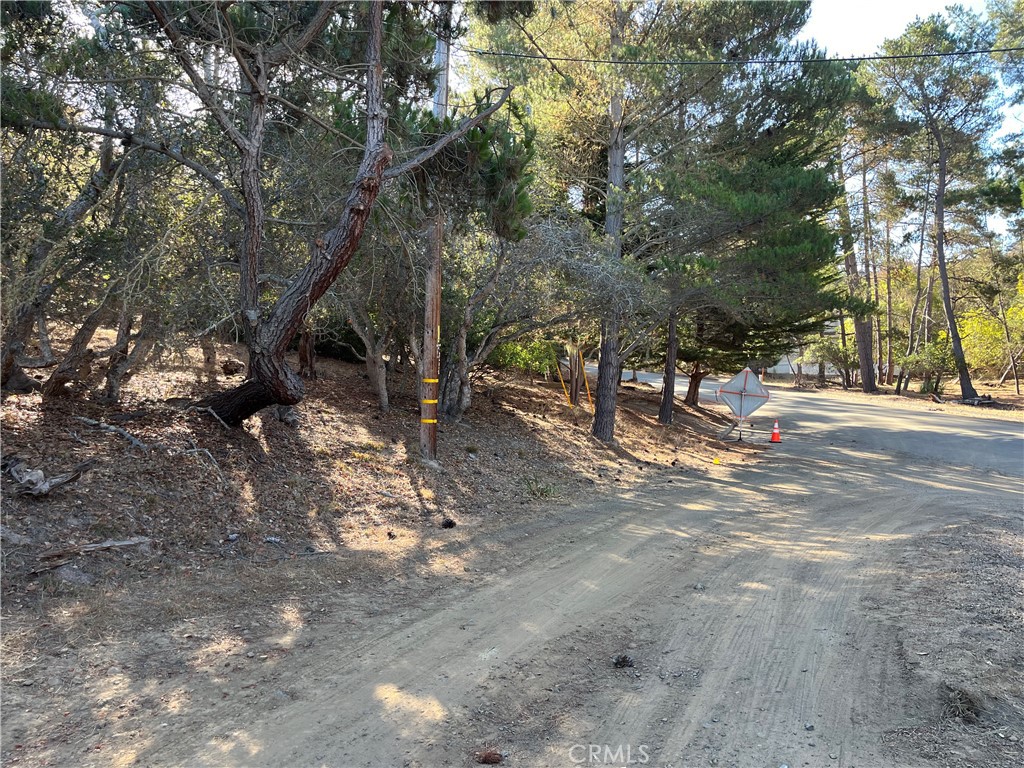 1818 Tweed Avenue Property Photo 2