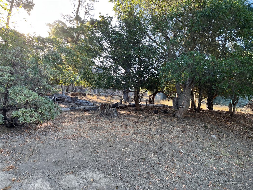 1670 Burton Drive Property Photo 1