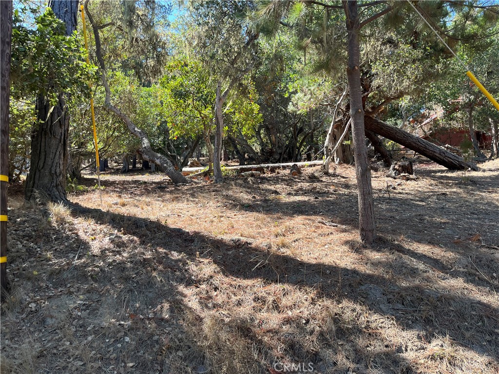 1840 Fern Drive Property Photo 1