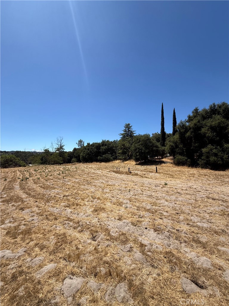 3755 El Camino Real Property Photo 8