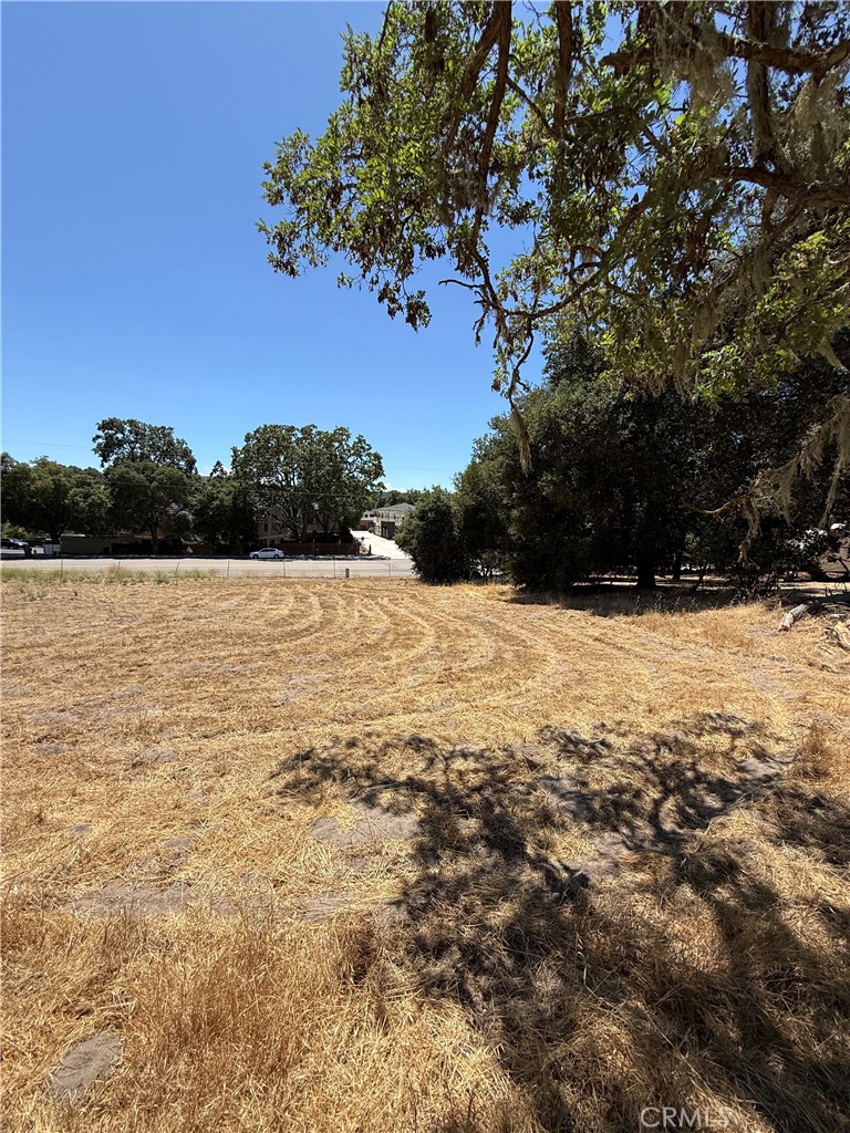 3755 El Camino Real Property Photo 9