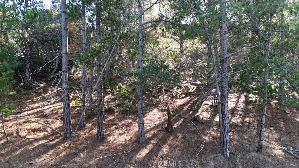 1955 Avon Avenue Property Photo 2