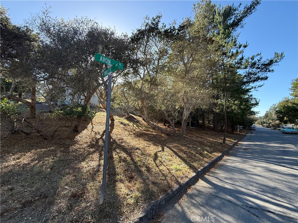 1955 Avon Avenue Property Photo 4