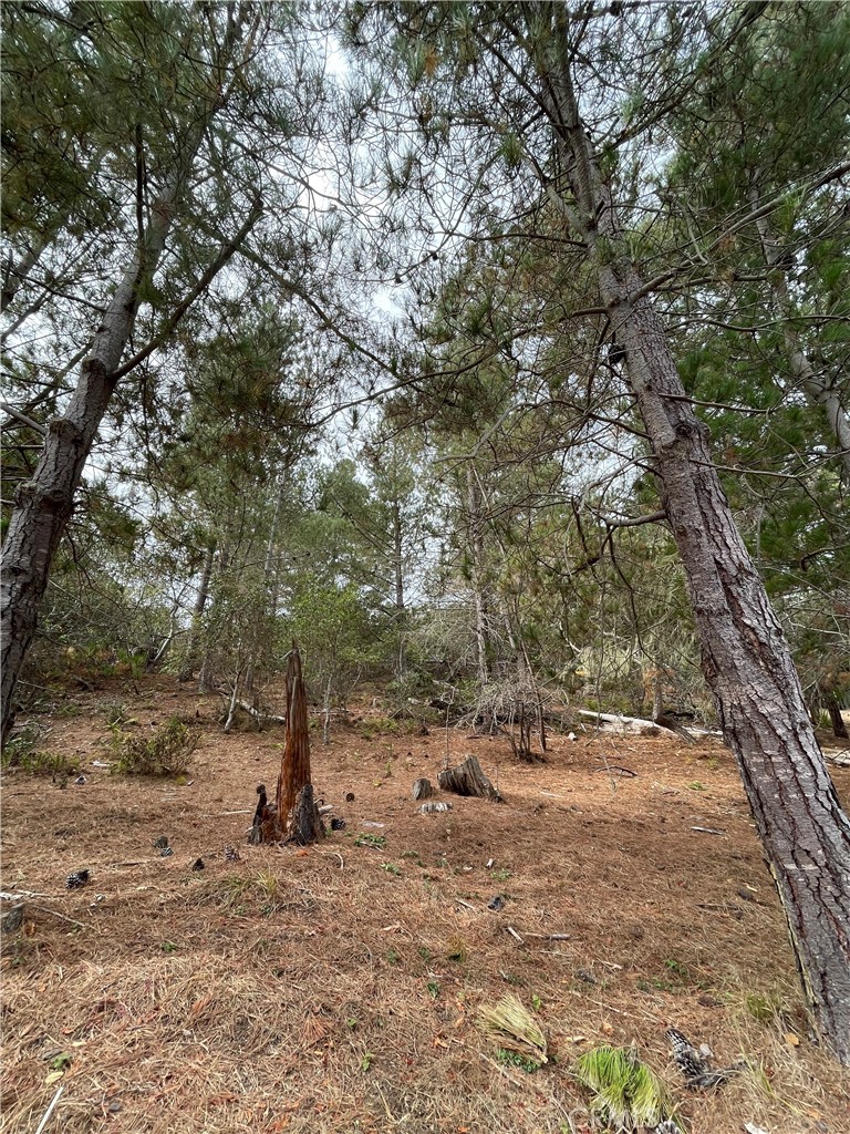 1955 Avon Avenue Property Photo 6