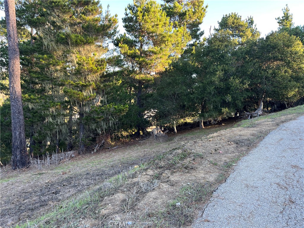 3235 Rogers Property Photo 5