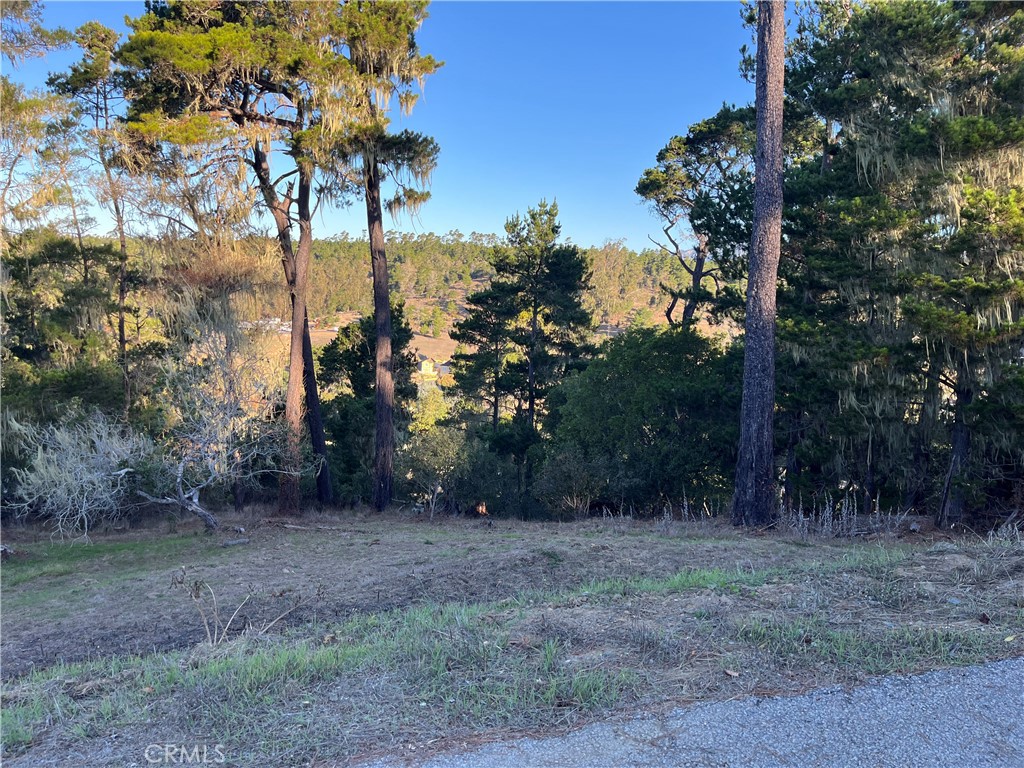 3235 Rogers Property Photo 6