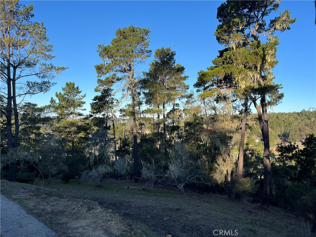 3235 Rogers Property Photo 8