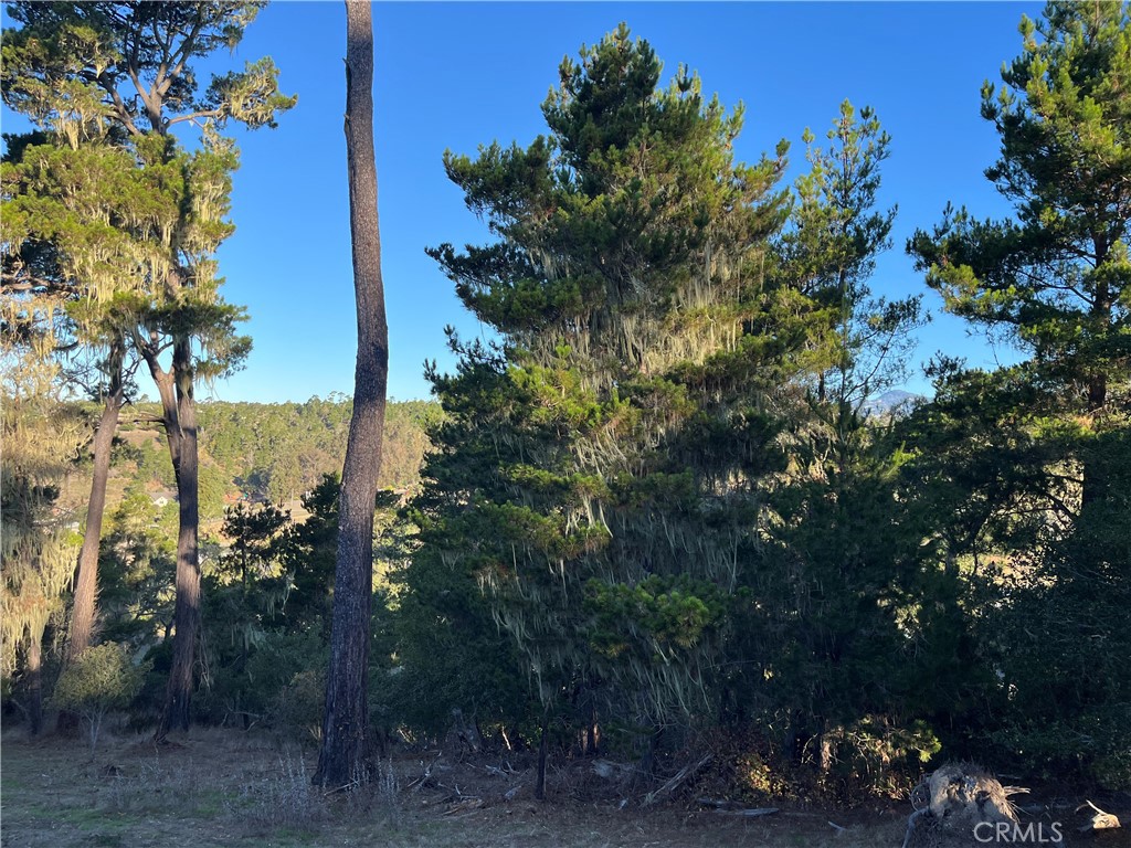 3235 Rogers Property Photo 10