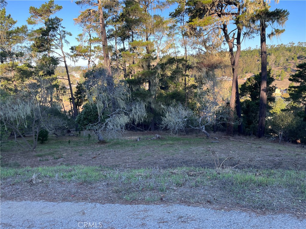 3235 Rogers Property Photo 12