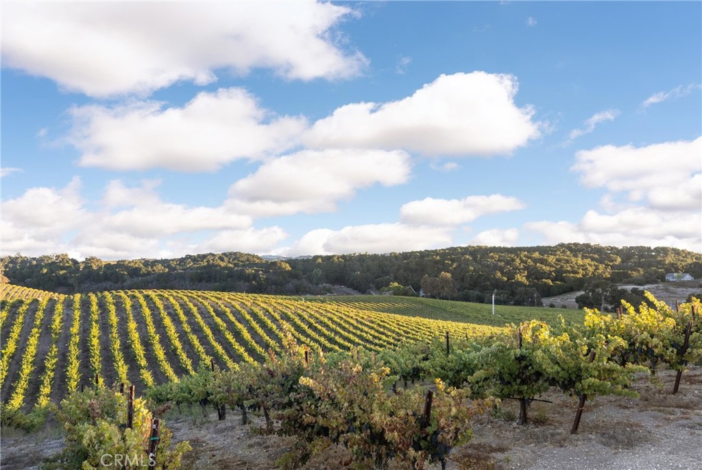 3000 Oakdale Rd. Property Photo 21