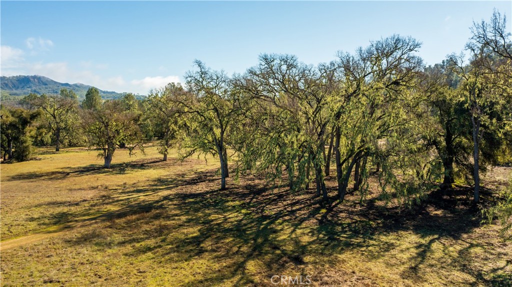 0 Lynch Canyon Road Property Photo 11