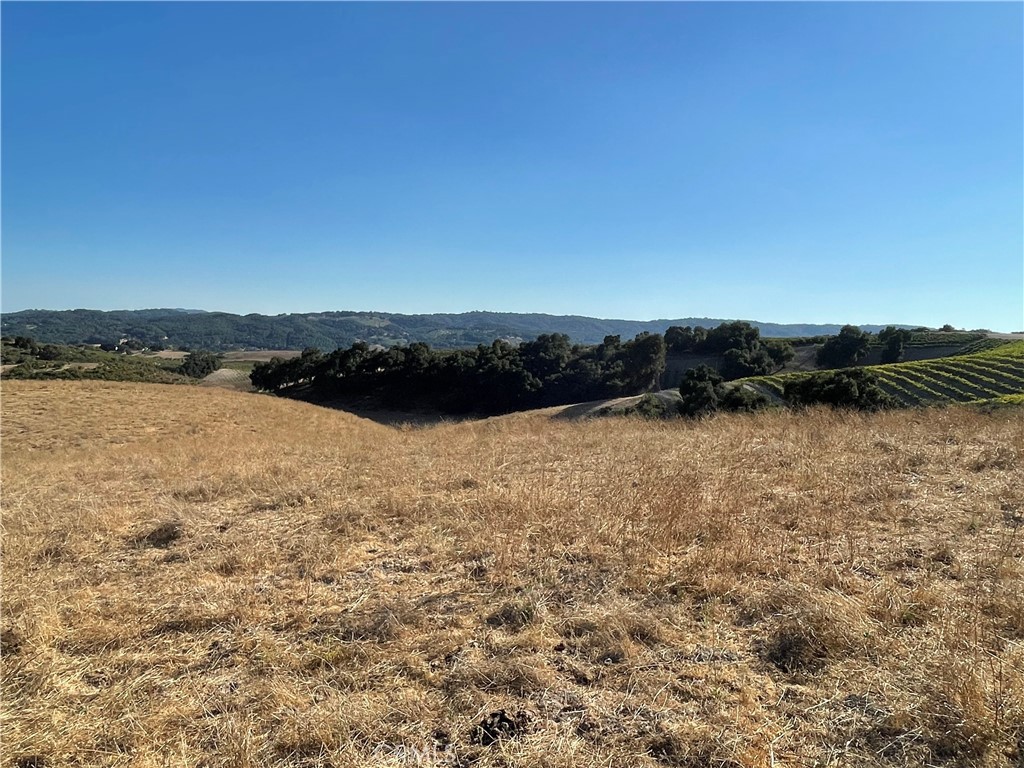 1 Las Tablas Property Photo 4