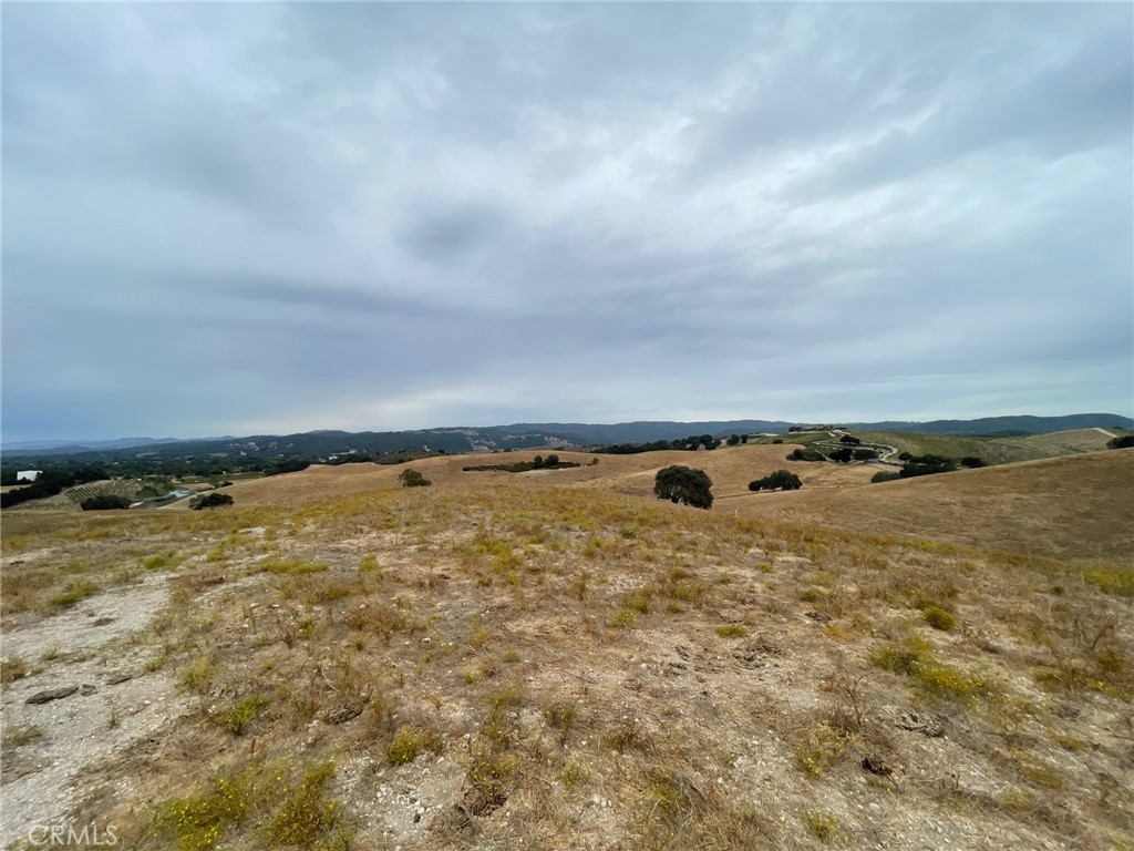 1 Las Tablas Property Photo 5