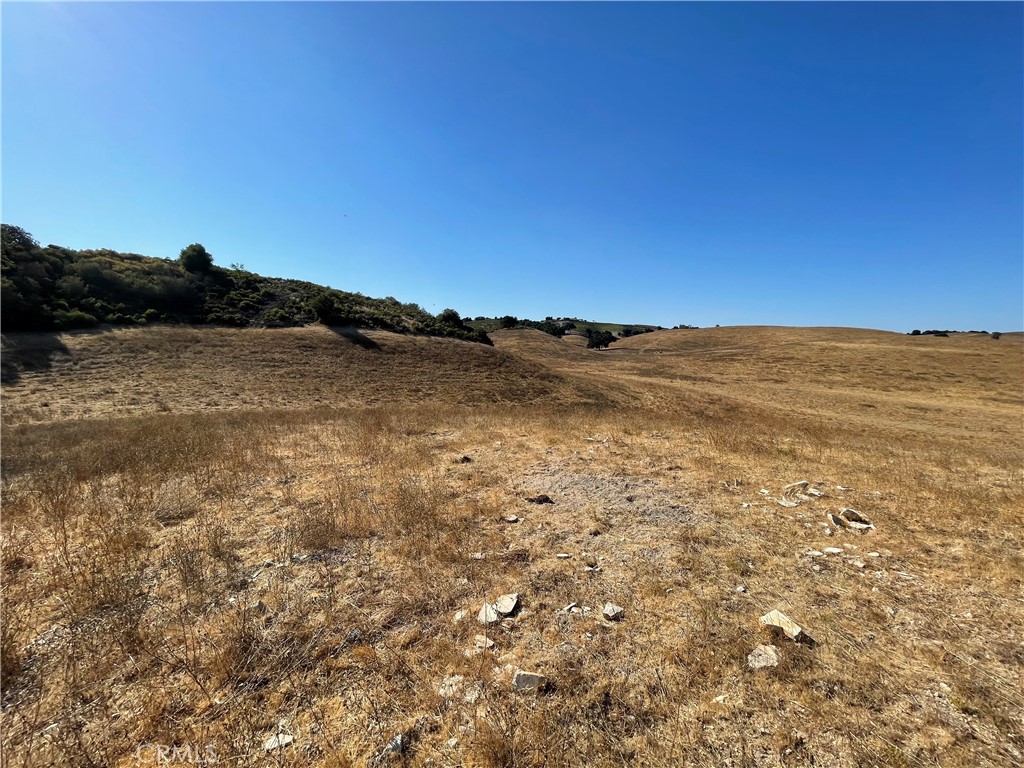 1 Las Tablas Property Photo 8