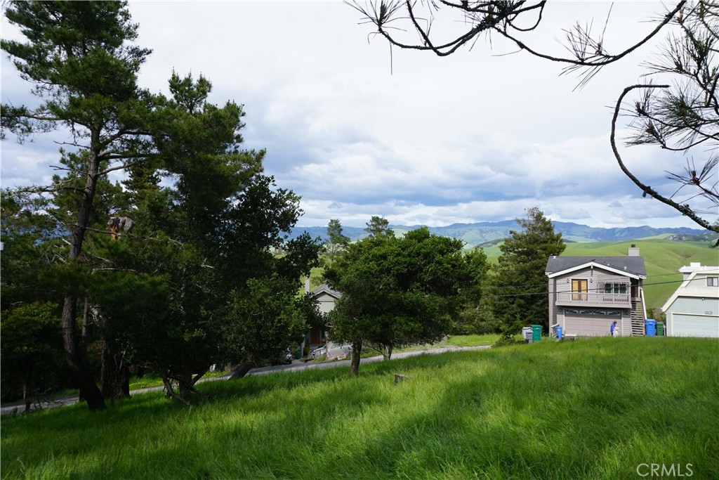 0 Pineridge Property Photo 5