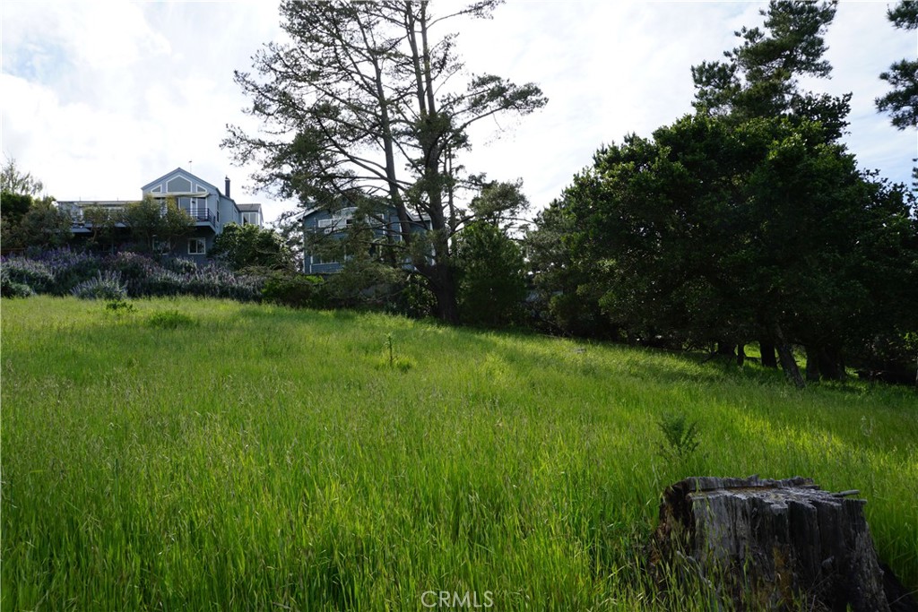 0 Pineridge Property Photo 7
