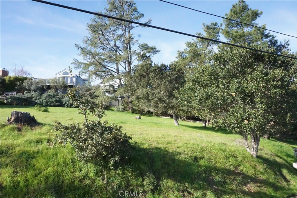 0 Pineridge Property Photo 8