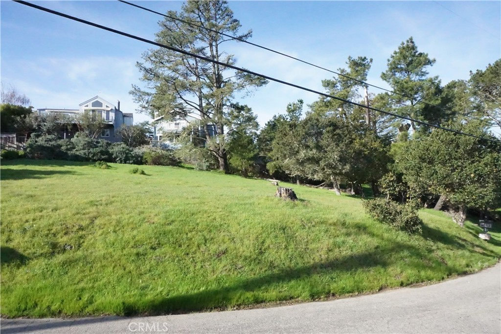 0 Pineridge Property Photo 9