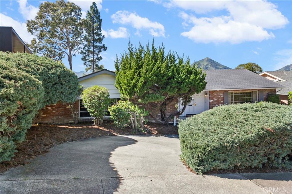 2021 Skylark Property Photo 3
