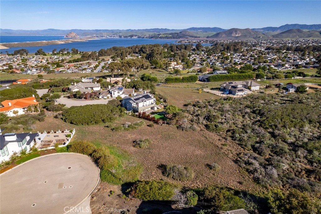 286 San Leandro Court Property Photo 19