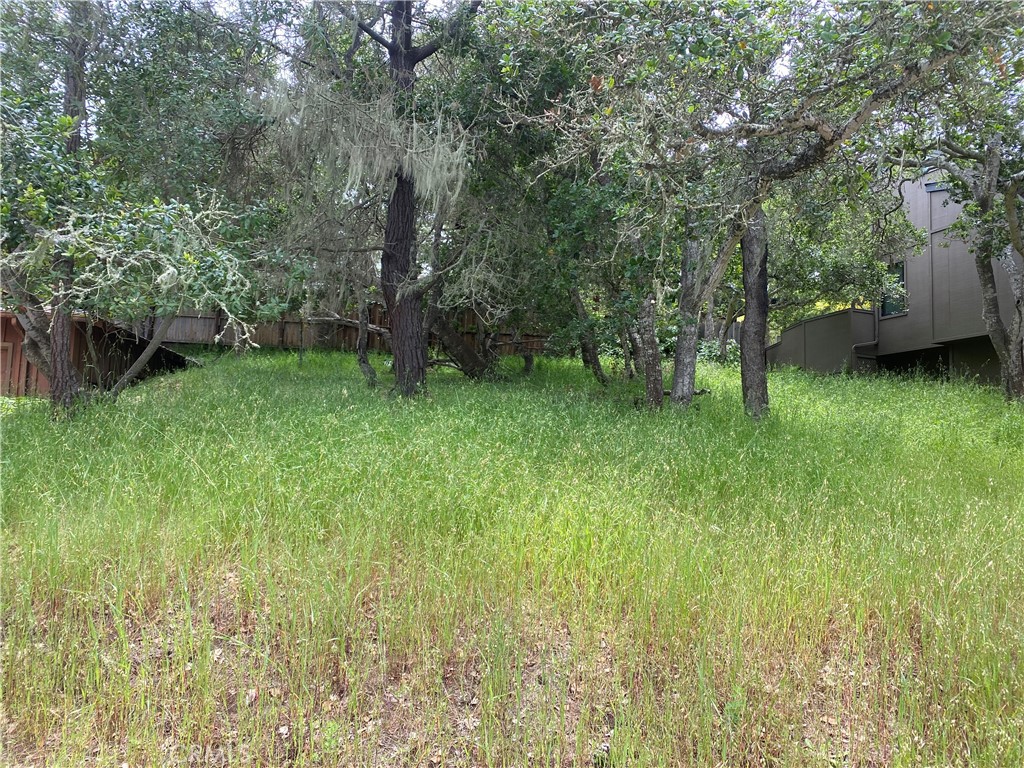 0 Ardath Drive Property Photo 1
