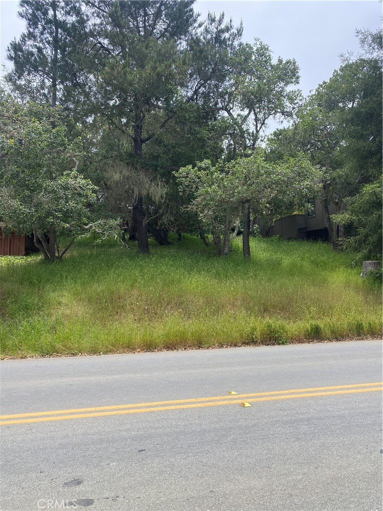 0 Ardath Drive Property Photo 2