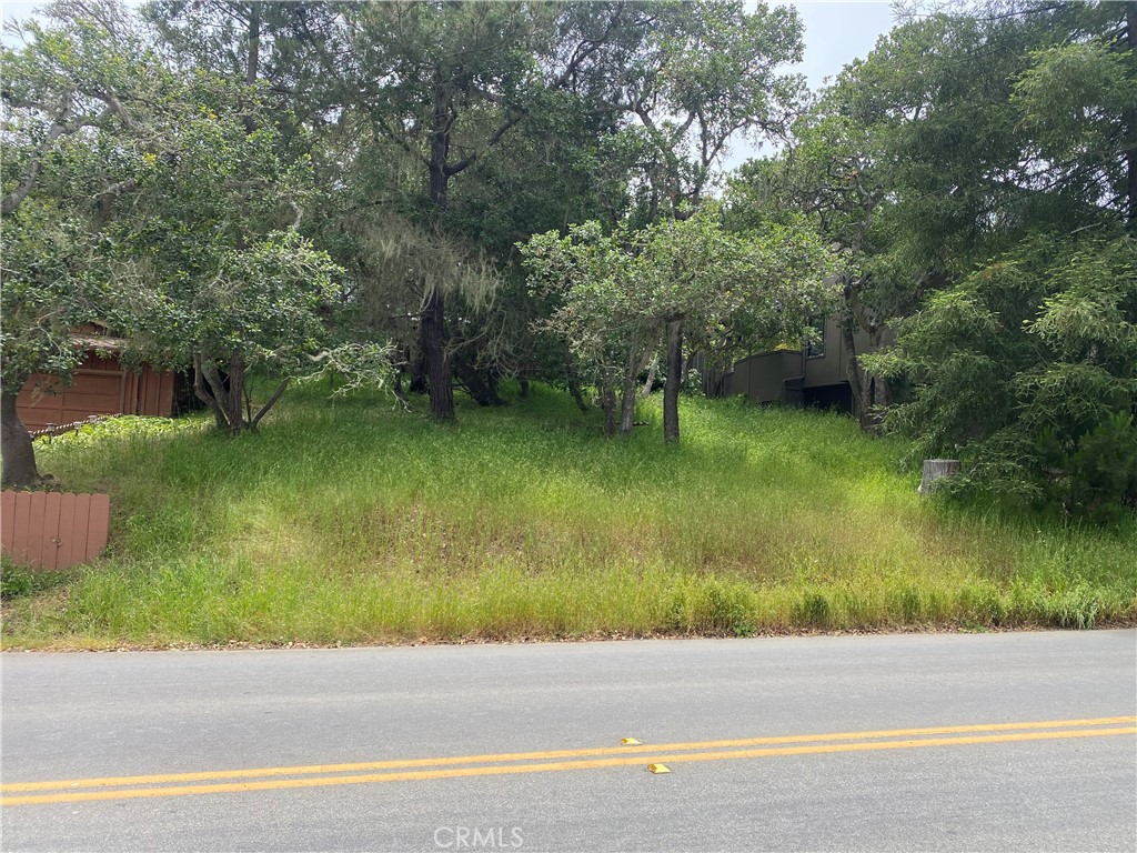0 Ardath Drive Property Photo 3