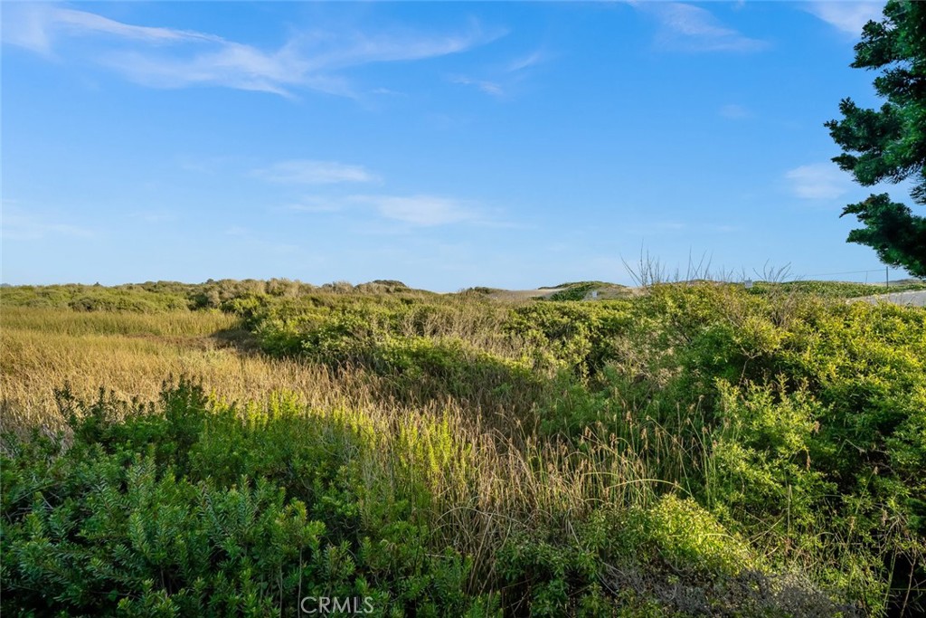 1839 Strand Way Property Photo 37