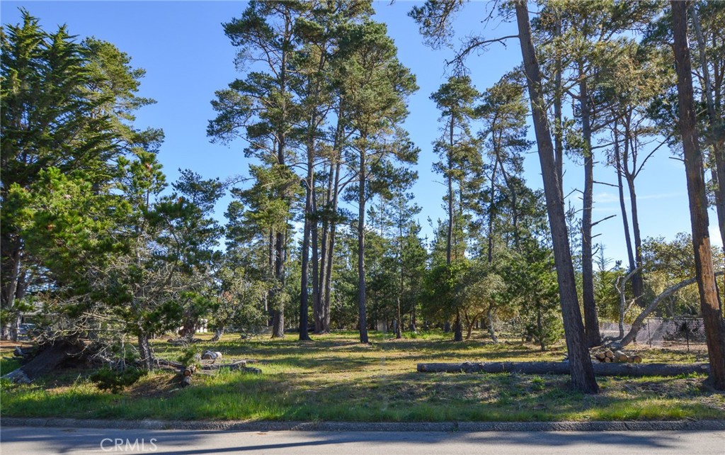 0 Buckley Property Photo 1