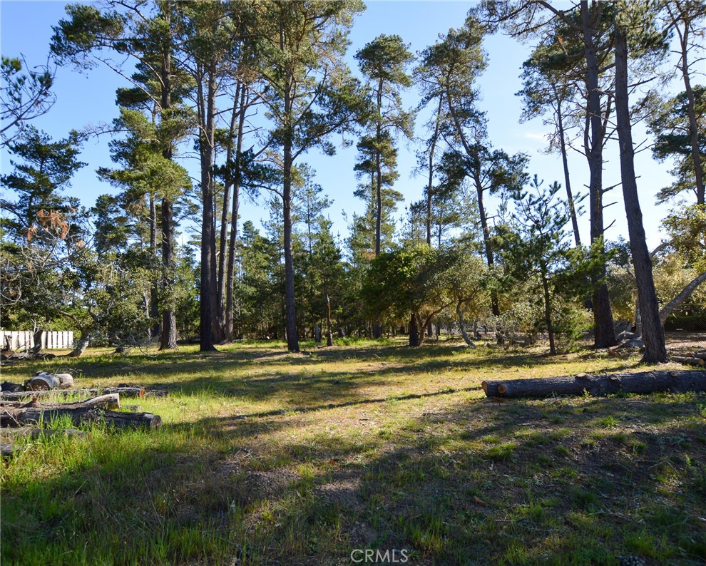 0 Buckley Property Photo 2