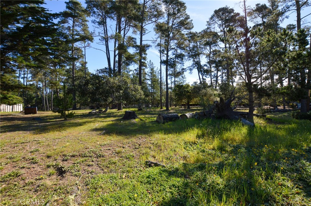 0 Buckley Property Photo 3