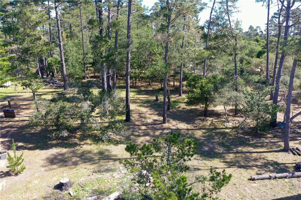 0 Buckley Property Photo 5