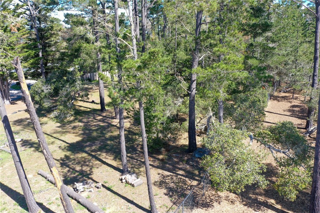 0 Buckley Property Photo 6