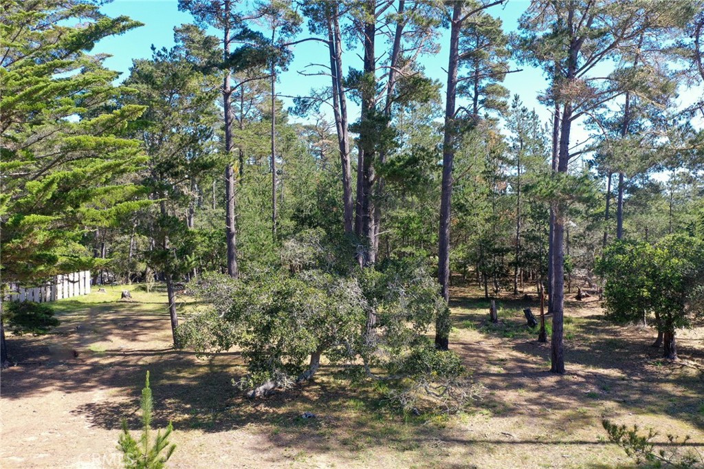 0 Buckley Property Photo 7