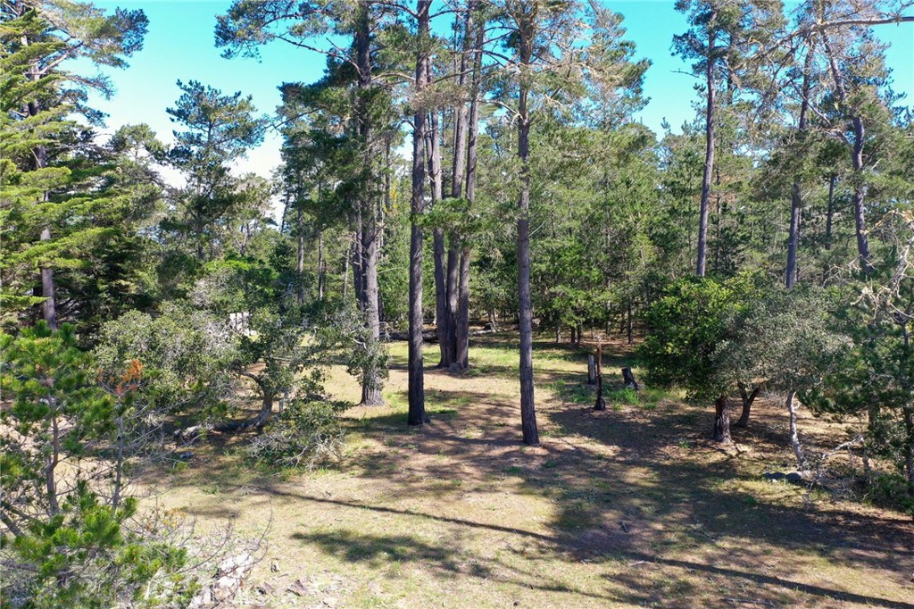 0 Buckley Property Photo 8