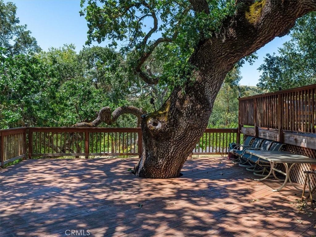 13940 Spring Meadow Lane Property Photo 43